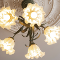 Chandeliers