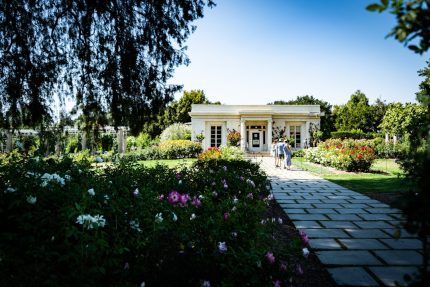 Photo Garden pathway