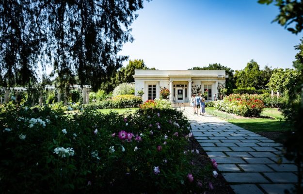 Photo Garden pathway