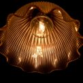 Photo pendant light